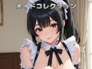 【アニメ系】極上メイド5人 顔違いコレクション 〜ご主人様だけに尽くす美少女たち〜(そられり屋) [d_750517]