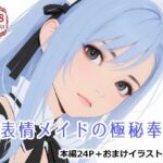 無表情メイドの極秘奉仕(雨夜) [d_752738]