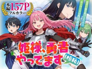 姫様、勇者やってます（極秘）(みーとぱい) [d_753294]