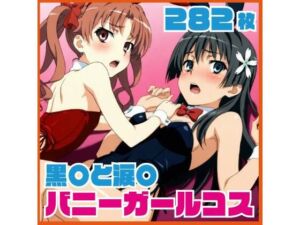 黒〇と涙〇 バニーガールコス 282枚(SilkyMoment) [d_754098]