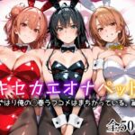 キセカエオナペット -やはり俺の◯春ラブコメはまちがっている篇-(愛玩ファクトリー) [d_754212]