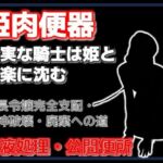 牛姫と公衆便所〜堕ちゆく月嶋家の令嬢と忠実な護衛〜(Aine Grace) [d_754490]