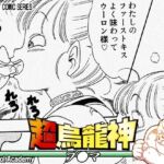 超烏龍神 ブ◯マ(オールドスクールアカデミー) [d_754750]