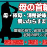 母の秘密・叔母の秘密、〜息子が母を飼いならすまで〜(Aine Grace) [d_754869]