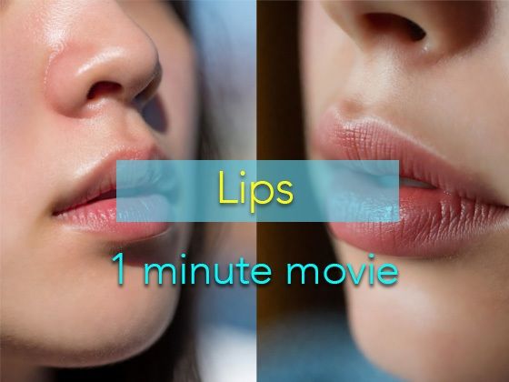 1分動画 Lips(もりくまぐらふ) [d_755014]