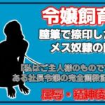銀の首輪 ―社長令嬢・桜庭ちひろの調教記録―(Aine Grace) [d_755495]