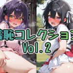 羞恥コレクション Vol.2(Socks Fetish Gallery) [d_755660]