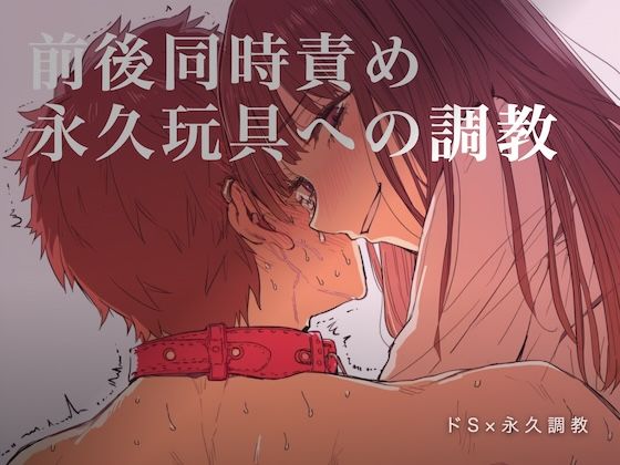 前後同時責め 永久玩具への調教(夜の息抜き) [d_756752]