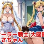 セーラー戦士 大図鑑 うさちゃん(カシス屋ウーロン) [d_756863]