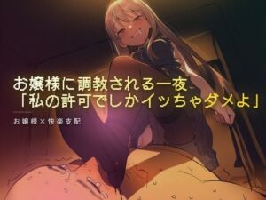 お嬢様に調教される一夜(夜の息抜き) [d_758026]