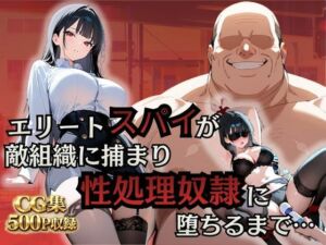 エリートスパイが敵組織に捕まり性処理奴●に堕ちるまで…(シロ) [d_758165]