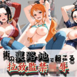 街の裏路地で起こる拉致監禁陵● ワ〇ピース No.1(健全なエロは滅んだ) [d_758538]