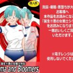 誕生！悪の女戦士外伝  Buruma  and Bloomers(ライト・レイト・ポート・ピンク) [d_759127]