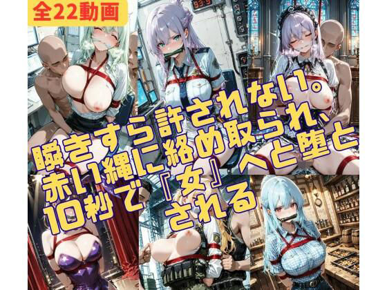10秒で堕ちる。逃げ場のない22の絶望が、あなたの視覚をジャックする(緊縛同人) [d_742328]