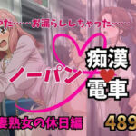 もう止めてっ！ノーパン痴●電車｜人妻熟女の休日編(痴●特急) [d_757332]