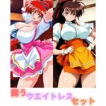 闘うウエイトレスセット(たちまる) [d_758082]