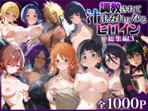 調教されて汁まみれになるヒロイン総集編3(すけべえ亭) [d_760402]
