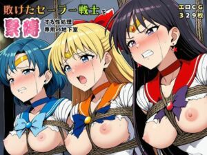 敗けたセーラー戦士を緊縛する性処理専用の地下室【マーキュリー・ヴィーナス・マーズ】(猫にマタタビ) [d_761065]