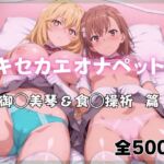 キセカエオナペット -御◯美琴＆食◯操祈篇(ばいならどあ) [d_761133]