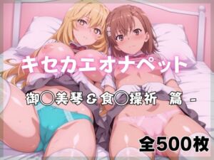 キセカエオナペット -御◯美琴＆食◯操祈篇(ばいならどあ) [d_761133]