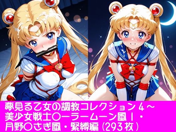 夢見る乙女の調教コレクション4〜美少女戦士〇ーラームーン風1・月野〇さぎ風・緊縛編(ぱてぃすりーず) [d_761866]