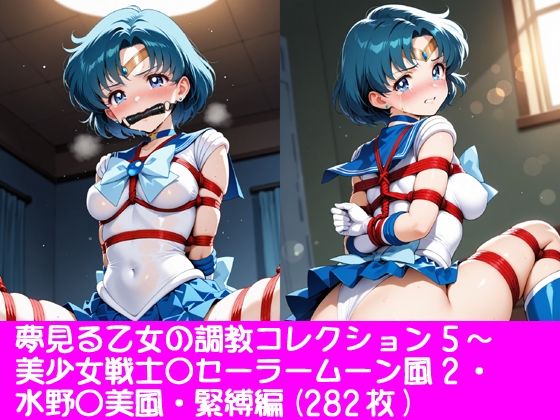 夢見る乙女の調教コレクション5〜美少女戦士〇ーラームーン風2・水野〇美風・緊縛編(ぱてぃすりーず) [d_761874]