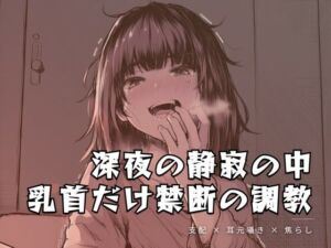 深夜の静寂の中、乳首だけを嬲る禁断の調教(夜の息抜き) [d_762082]