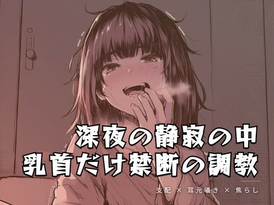 深夜の静寂の中、乳首だけを嬲る禁断の調教(夜の息抜き) [d_762082]