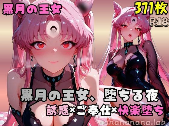 【R-18】黒月の王女、堕ちる夜(nanananana.lab) [d_762290]