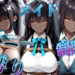 褐色黒髪娘の捕らわれ3色丼CG集 maid bunny school restrained(パスカブ) [d_765113]
