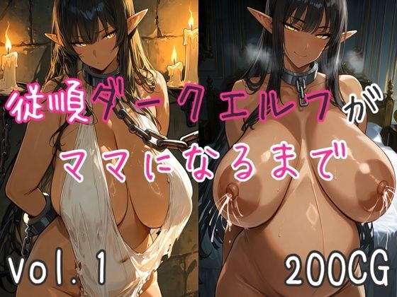 従順ダークエルフがママになるまで(混沌AI工房) [d_766403]