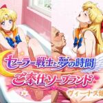 セーラー戦士と夢の時間 ご奉仕ソープランド ヴィーナス嬢(ReNOL) [d_766885]