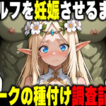オークの種付け調査記録 〜エルフを妊娠させるまで〜(だるじゃんMC) [d_766898]