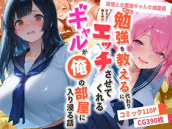 勉強を教える代わりにエッチをさせてくれるギャルが俺の部屋に入り浸る話 〜清楚と小悪魔ギャルの純愛編〜(夜の快楽) [d_767680]