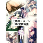 化物語ヒロイン  SM緊縛画集(きゅうり夫人) [d_769200]