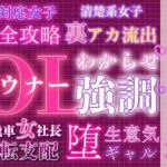 大人レイヤースタイル21種セット セクシー(うらがわ) [d_770088]
