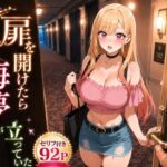 扉を開けたらま〇んが立っていた(ヒロインパラダイス) [d_770363]