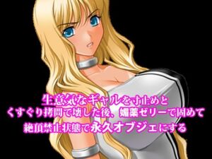 『生意気なギャルを寸止めとくすぐり拷問で壊した後、媚薬ゼリーで固めて絶頂禁止状態で永久オブジェにする』(淫乱テディベア) [d_774089]
