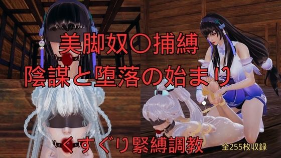 美脚奴〇捕縛 陰謀と堕落の始まり(美脚調教工房) [d_762799]