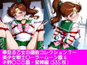 夢見る乙女の調教コレクション7〜美少女戦士〇ーラームーン風4・木野〇こと風・緊縛編(ぱてぃすりーず) [d_771790]