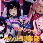裏ペット倶楽部  なまいき猫と怖がりウサギ(2次元美女フェチ) [d_772922]