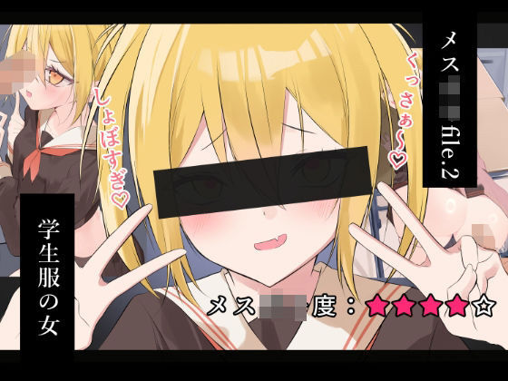 メス〇キfile.2(ノクターン工房) [d_773416]