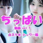 ちっぱい動画 vol.7 女子校生ホワイトスク水シャワー編(Tomomix.ai) [d_773464]
