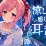 【超耳舐め特化】涼しさを感じる耳舐め【安眠ASMR】(ありみえASMRワールド) [d_774737]