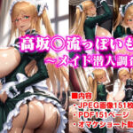 高坂○流っぽいもの〜メイド潜入調査編(かなやまアロエ) [d_777385]