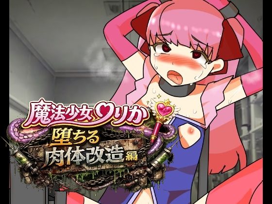 魔法少女りりか堕ちる肉体改造編(へいわ堂) [d_777509]