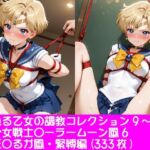 夢見る乙女の調教コレクション9〜美少女戦士〇ーラームーン風6・天王〇るか風・緊縛編(ぱてぃすりーず) [d_777929]