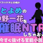 中年デブハゲチビの俺が『ごとよめ』の中野一花を睡眠NTRしちゃおww(アポロン) [d_777988]
