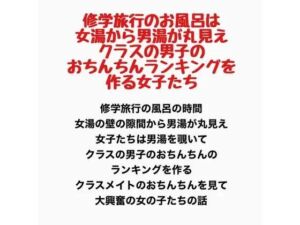 修学旅行のお風呂は女湯から男湯が丸見え、クラスの男子のおちんちんランキングを作る女子たち(羞恥の星空 CFNM/CMNF) [d_778231]