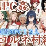 【NPC姦】アルディシア・フロンティア【コルネ村編】(こたつみかん工房) [d_779318]